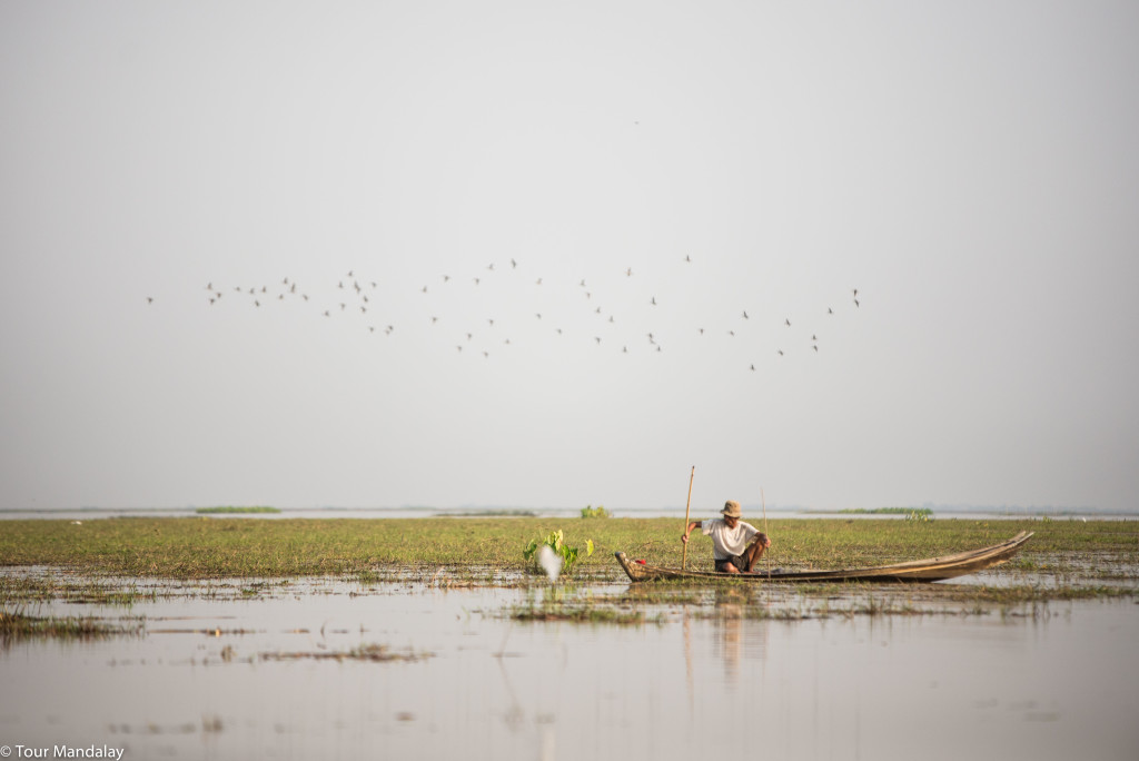 Fisherman waits patiently as birds fly past in Moeyungyi 
