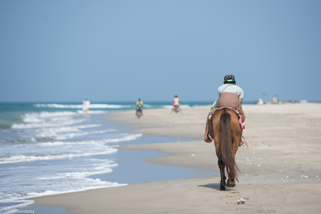 A horse walks down Ngwe Saung beach 
