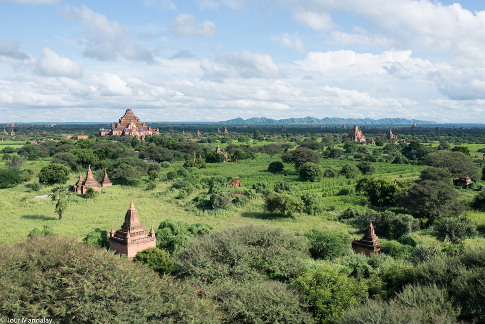 A green Bagan, as viewed in the month of October
