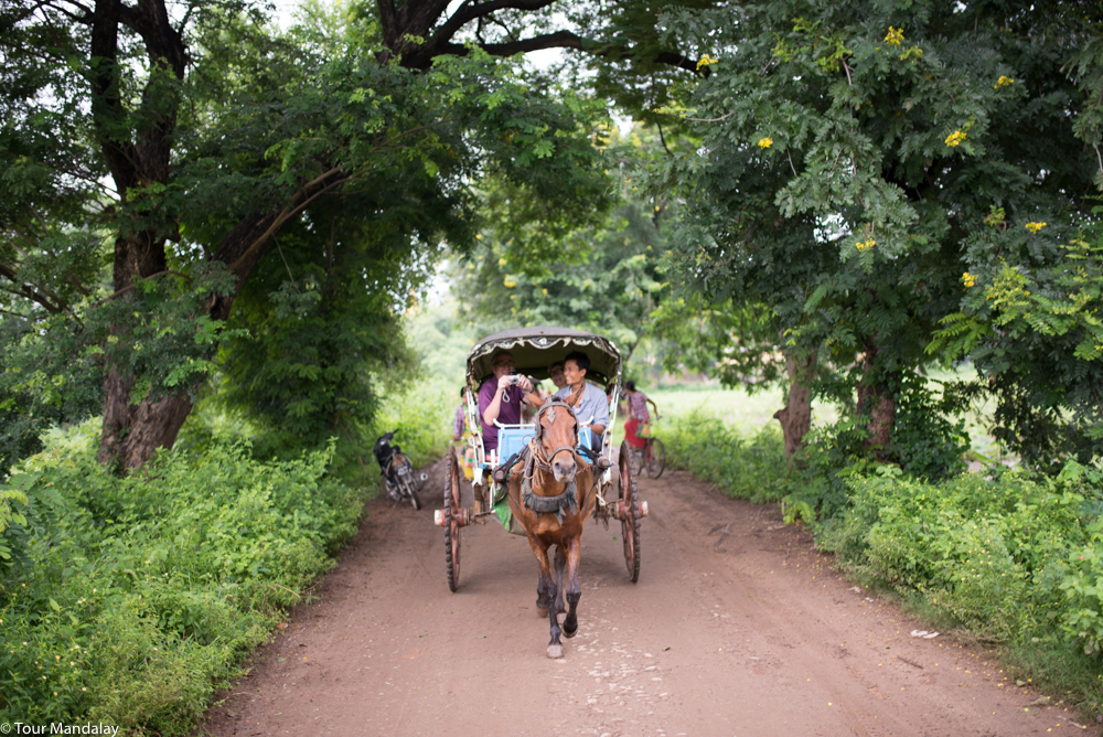 A bumpy, yet fun, horse ride tour around Ava's most famous attractions