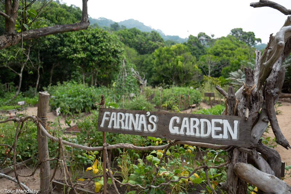 Farina's Garden sign with large vegetable plot