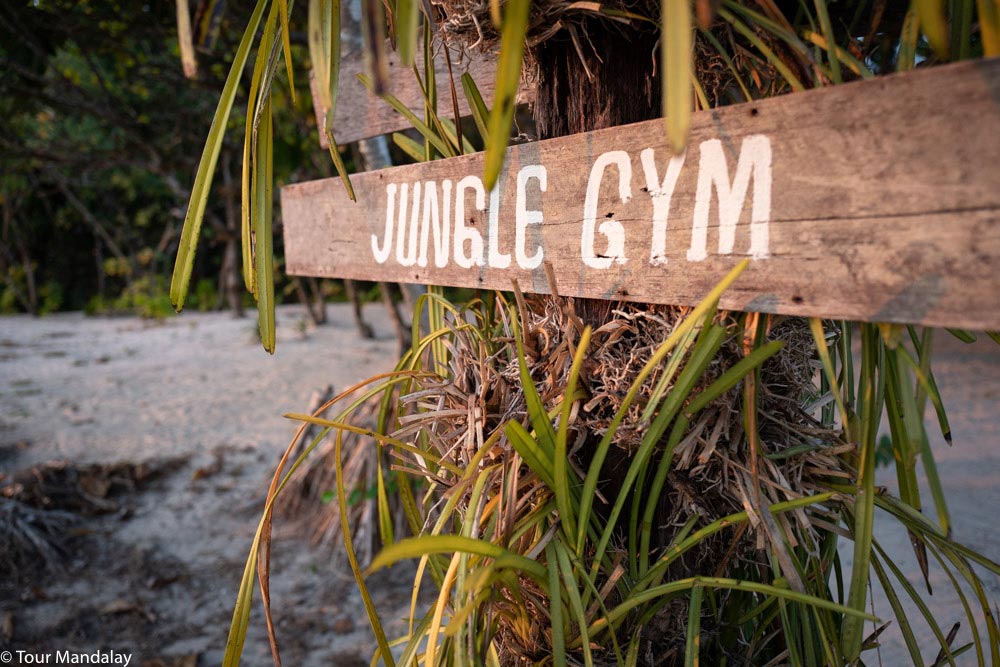 Jungle gym sign on tree