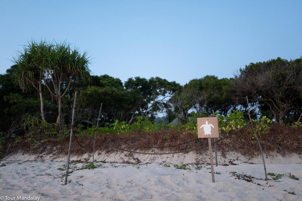 Turtle nest on beach with rope and sign